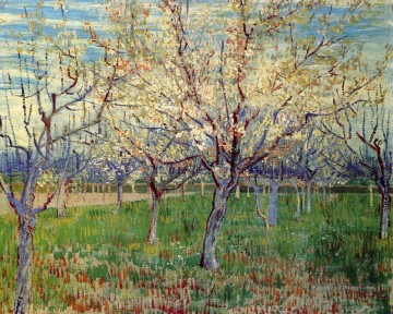 Verger avec floraison d’abricotiers Vincent van Gogh Peinture à l'huile